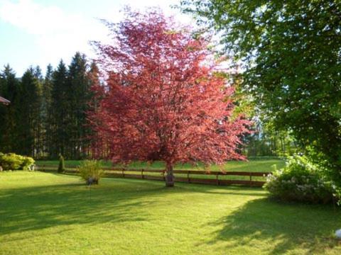 Villa Am Bach Unterwössen Dış mekan fotoğraf